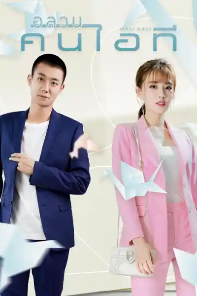 Stray Birds (2021) อลวนคนไอที ซับไทย
