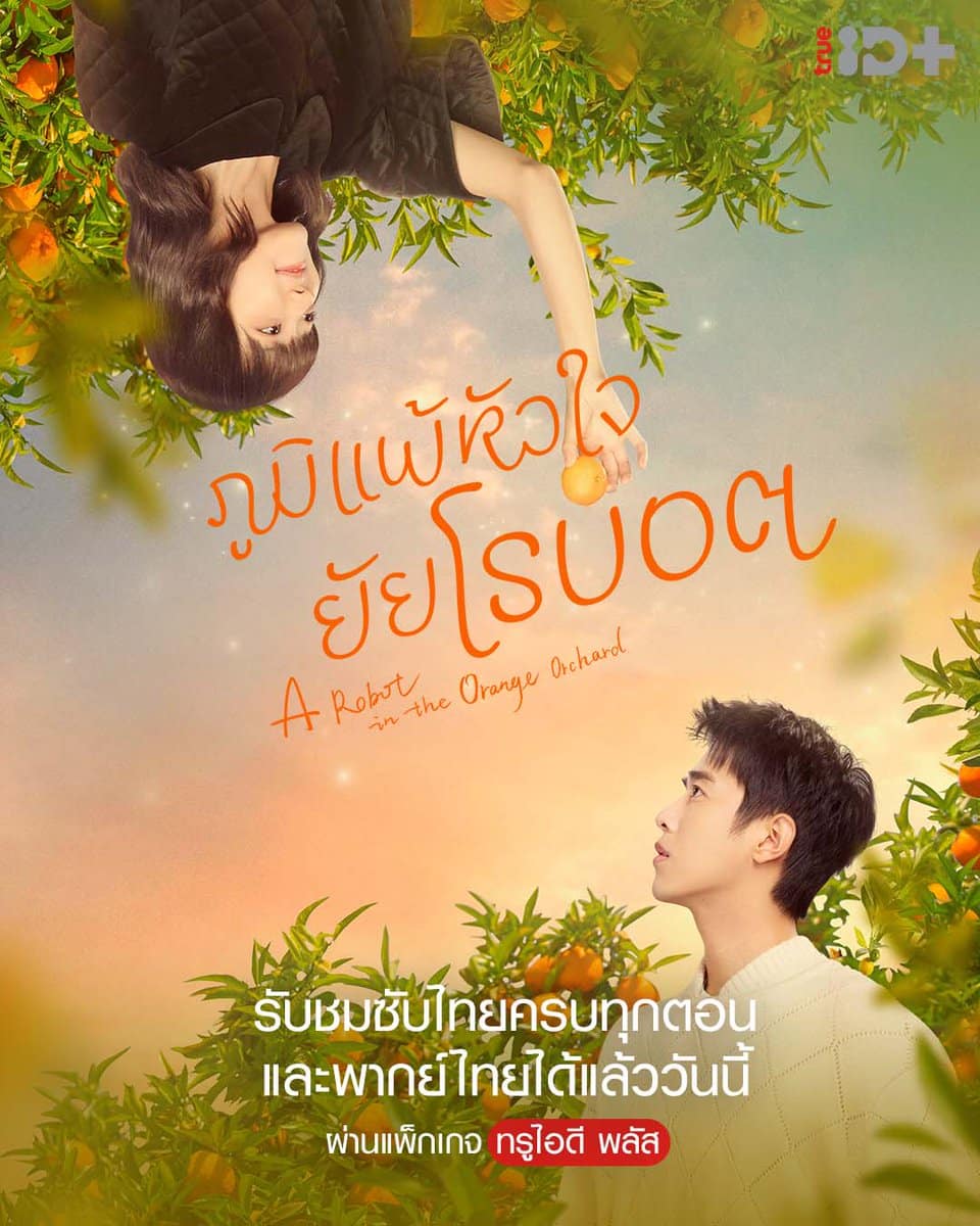 A Robot in the Orange Orchard (2022) ภูมิแพ้หัวใจยัยโรบอต ซับไทย พากย์ไทย EP1-EP30 [จบ]