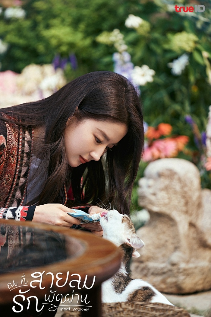 Meet Yourself (2023) ณ ที่สายลมรักพัดผ่าน ซับไทย พากย์ไทย EP1-EP40 [จบ]