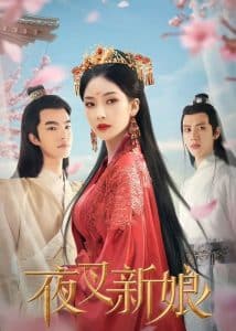 Fierce Bride (2023) เจ้าสาวราตรี ซับไทย EP1-EP26 [จบ]