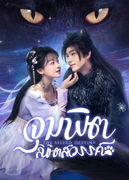 The Seized Destiny (2025) จุมพิตลิขิตสวรรค์ ซับไทย EP1-EP20 [จบ]
